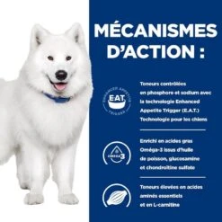Hill's Prescription Diet Canine K/D J/D + Mobility 12 Kg -Animalerie 52742011608 5 prescription diet chien k d mobility croquettes poulet 1