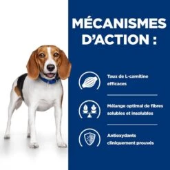 Hill's Prescription Diet Canine R/D Au Poulet 10 Kg -Animalerie 52742047256 4 prescription diet chien r d croquettes poulet 1 1