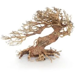 Amtra Bois Oriental Wind 3 MD