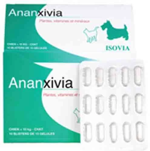 Ananxivia Petit Chien Et Chat 30 Gel 3 Ananxivia Petit Chien Et Chat 30 Gel