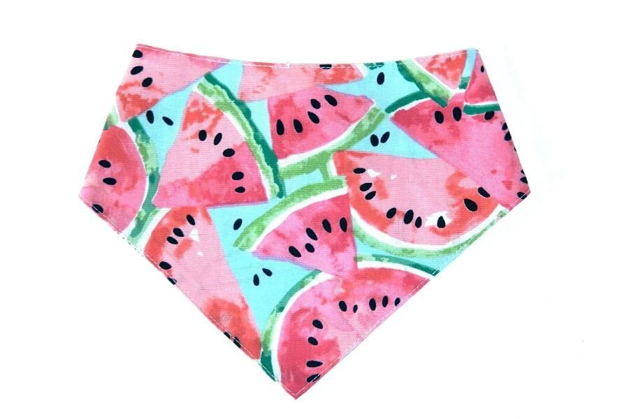 Arizona Hotdogs Bandana Pastèques/Flamingos XS