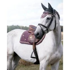 Back On Track Night Collection Bonnet Chevaux Taye Bordeaux - Destockage 5 Back On Track Night Collection Bonnet Chevaux Taye Bordeaux - Destockage -Animalerie back on track night collection bonnet chevaux taye bordeaux la compagnie des animaux 2