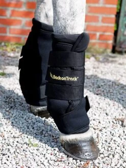 Back On Track Stable Boots Royal Noir XL -Animalerie back on track stable boots royal 2 3 1