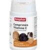 Beaphar Comprimés De Vitamine C Cobaye 100 Cps -Animalerie beaphar comprime s de vitamine c pour cobaye 100 cps