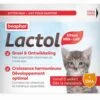 Beaphar Lactol Lait Maternisé Pour Chatons 500 G -Animalerie beaphar lactol lait maternise pour chatons 250 g 2
