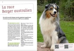 Livre - Bien Vivre Avec Mon Berger Australien -Animalerie bien vivre avec mon berger australien3