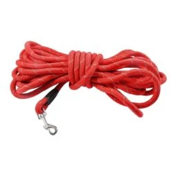 Bobby Longe Walk Chien Orange 5 M