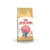 Royal Canin British Shorthair Kitten 2 Kg -Animalerie bs kit pack