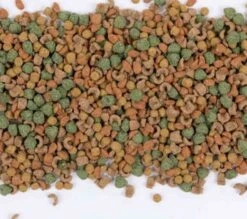 Care+ Cochon D'Inde 250 G -Animalerie care cochon d inde 250 g3