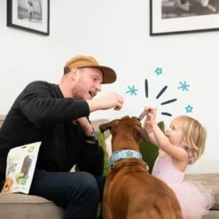 Edgard & Cooper Mach'sticks Pomme Et Eucalyptus Grand Chien 240 G -Animalerie chien dental adulte naturel eucalyptus pomme 240g 3