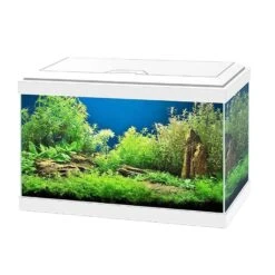 Ciano Aquarium 20 LED Blanc - Destockage