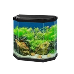 Ciano Aquarium 30 LED Noir -Animalerie ciano aquarium 30 led noir 2