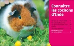 Livre - Cochons D'Inde -Animalerie cochons d inde2