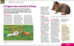 Livre - Cochons D'Inde -Animalerie cochons d inde3