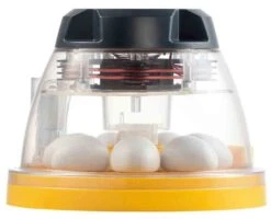 Couveuse Brinsea Mini II EX -Animalerie couveuse brinsea mini ii ex5