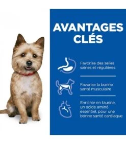 Hill's Science Plan VetEssentials Canine Healthy Digestive Biome Small & Mini 2 Kg -Animalerie croquettes healthy digestive biome small mini chien sac 2 kg vet essentials 2