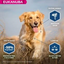 Eukanuba Chien Daily Care Surpoids Ou Stérilisé 12 Kg -Animalerie eukanuba chien daily care surpoids ou st rilis 12 kg3