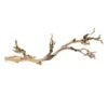 Exo Terra Branche De Vigne Sablée Reptile L -Animalerie exo terra branche de vigne sabl e pour reptile gm