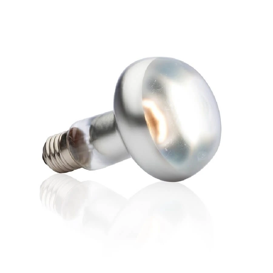 Exo Terra Lampe Intense à Vis Pour Terrarium 75 W 4 Exo Terra Lampe Intense à Vis Pour Terrarium 75 W – Image 2