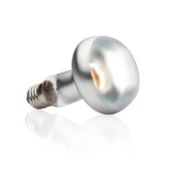 Exo Terra Lampe Intense à Vis Pour Terrarium 100 W 6 Exo Terra Lampe Intense à Vis Pour Terrarium 100 W -Animalerie exo terra lampe intense vis pour terrarium 100 w