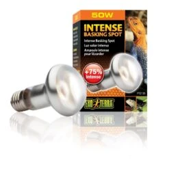 Exo Terra Lampe Intense à Vis Pour Terrarium 50 W -Animalerie exo terra lampe intense vis pour terrarium 50 w