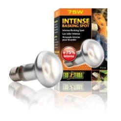 Exo Terra Lampe Intense à Vis Pour Terrarium 75 W 7 Exo Terra Lampe Intense à Vis Pour Terrarium 75 W -Animalerie exo terra lampe intense vis pour terrarium 75 w