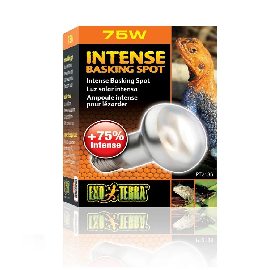 Exo Terra Lampe Intense à Vis Pour Terrarium 75 W 3 Exo Terra Lampe Intense à Vis Pour Terrarium 75 W