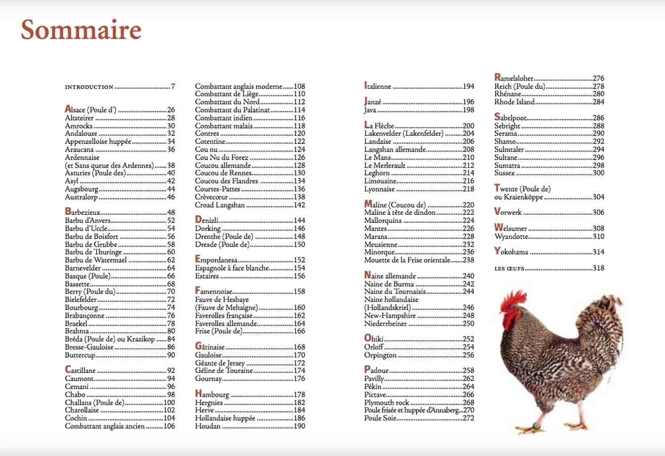 Livre - Guide Des Races De Poules 4 Livre - Guide Des Races De Poules – Image 2