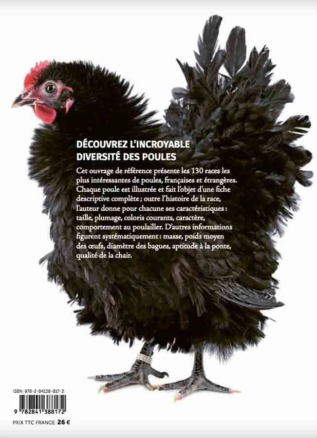 Livre - Guide Des Races De Poules 6 Livre - Guide Des Races De Poules – Image 4