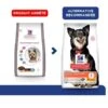 Hill's Science Plan VetEssentials Canine Healthy Digestive Biome Small & Mini 2 Kg -Animalerie hill s science plan vetessentials canine healthy digestive biome small mini 2 kg 2