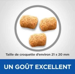 Hill's Science Plan VetEssentials Canine Mature Dental Health Medium & Large Poulet 2 Kg -Animalerie hill s vetessentials canine mature dental health mediumlarge2