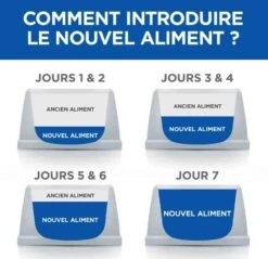 Hill's Science Plan VetEssentials Canine Mature Dental Health Medium & Large Poulet 2 Kg -Animalerie hill s vetessentials canine mature dental health mediumlarge4