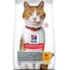 Hill's Science Plan Hill's Science Plan Chat Young Adult Sterilisé Poulet 15 Kg -Animalerie hill s science plan feline young adult sterilised cat poulet 15 kg