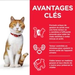 Hill's Science Plan Hill's Science Plan Chat Young Adult Sterilisé Poulet 15 Kg 8 Hill's Science Plan Hill's Science Plan Chat Young Adult Sterilisé Poulet 15 Kg -Animalerie hill s science plan feline young adult sterilised cat poulet 15 kg4