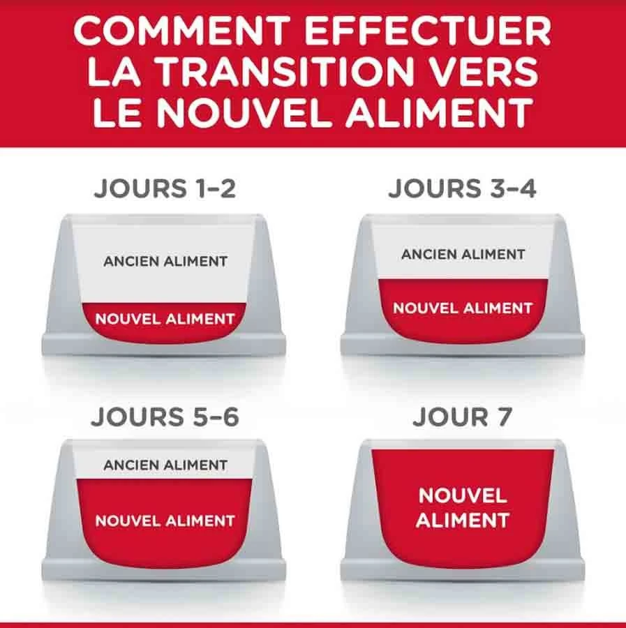 Hill's Science Plan Hill's Science Plan Chat Young Adult Sterilisé Poulet 15 Kg 6 Hill's Science Plan Hill's Science Plan Chat Young Adult Sterilisé Poulet 15 Kg – Image 4