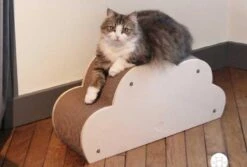 Homycat Griffoir Pour Chat Nuage - Destockage -Animalerie homycat griffoir pour chat nuage3