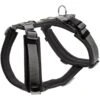 Hunter Harnais Maldon Pour Chien Noir/gris S-M -Animalerie hunter harnais maldon pour chien la compagnie des animaux 1 1