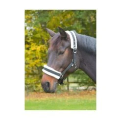 Kerbl Licol Avec Fourrure Synthétique Noir Poney -Animalerie kerbl licol avec fourrure synthetique noir poney 2