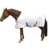 Kerbl Couverture Anti-mouches Pour Cheval 155 Cm 1 Kerbl Couverture Anti-mouches Pour Cheval 155 Cm -Animalerie kerbl couverture anti mouches pour cheval 1 1 1