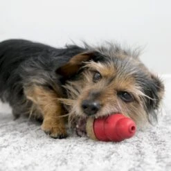 KONG Friandises Marathon Chicken Pour Chien L 192 G 11 KONG Friandises Marathon Chicken Pour Chien L 192 G -Animalerie kong friandises marathon chicken 1 1