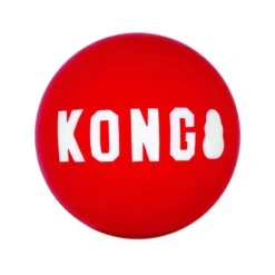 KONG Signature Ball Balle Pour Chien S X 2 -Animalerie kong signature ball balle pour chien la compagnie des animaux 1 1