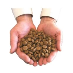 Felichef Croquettes BIO Chat Stérilisé 5 Kg -Animalerie main avec croquettes 3 10