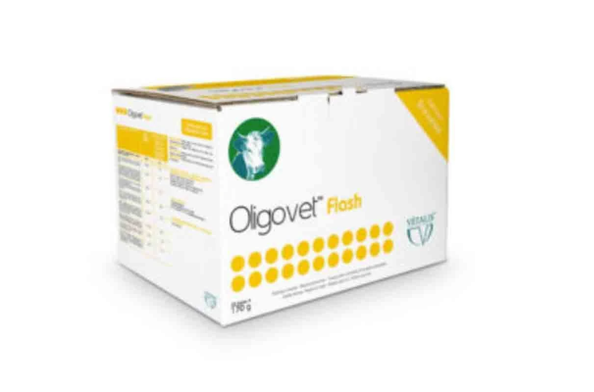 Oligovet Flash 1 Bolus 170 G 3 Oligovet Flash 1 Bolus 170 G