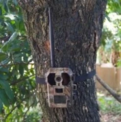 Piège Photographique PIE1010 11 Piège Photographique PIE1010 -Animalerie p3 1