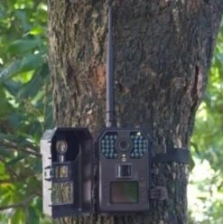 Piège Photographique PIE1010 10 Piège Photographique PIE1010 -Animalerie p4 1