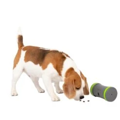 Pet Safe Distributeur De Croquettes Kibble Chase -Animalerie pet safe distributeur de croquettes kibble chase6