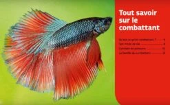 Livre - Poissons Combattants -Animalerie poissons combattants3