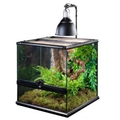 Exo Terra Support Pour Dôme D'éclairage -Animalerie pt2223 light bracket in use 02