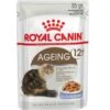 Royal Canin Feline Ageing +12 En Gelée 12 X 85 G -Animalerie royal canin ageing 12 en gele e