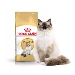 Royal Canin Chat Adult Ragdoll 2 Kg -Animalerie royal canin rag ad